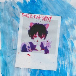 the sUper cat b0y 4lbum!11,
