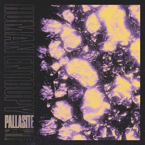Pallasite