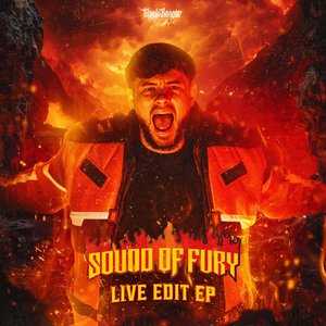 Sound Of Fury