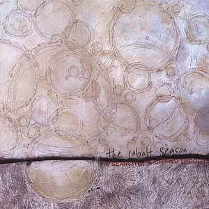 In Search Of A Unified Theory