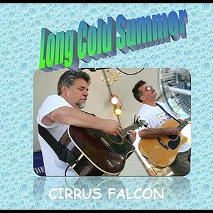 Long Cold Summer