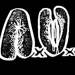 Anal Volcano 的头像