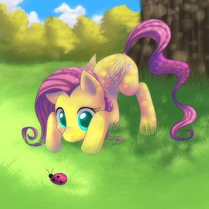Avatar for Shadysoup