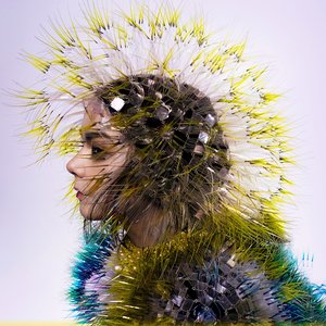 Björk のアバター