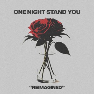 one night stand you (reimagined)