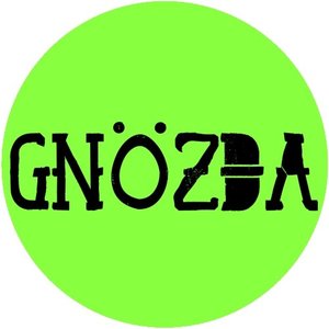 Avatar for Гнёзда