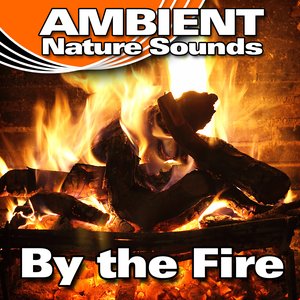 “By the Fire”的封面