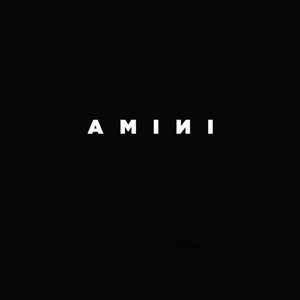 Amini