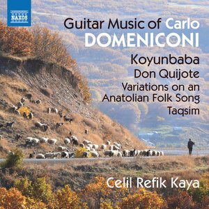 Domeniconi: Guitar Music