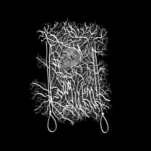 Avatar för fowgiveme