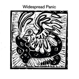 Image for 'Widespread Panic'