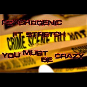 You Must Be Crazy (feat. Stretch)