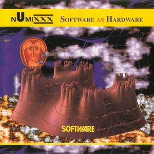 Software as Hardware