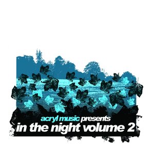 In The Night Vol. 2