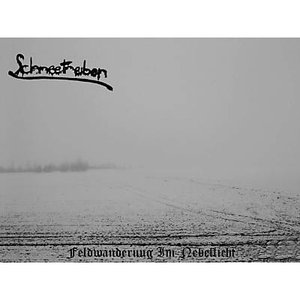 Feldwanderung Im Nebellicht