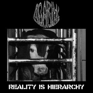 Reality is Hierarchy