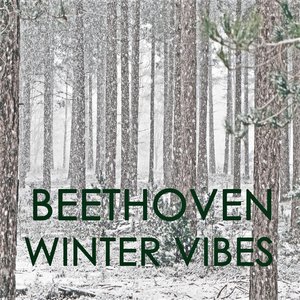 Beethoven - Winter Vibes