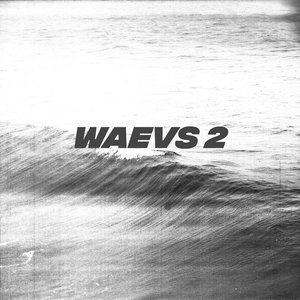 WAEVS 2