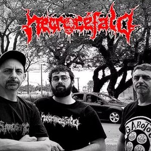 NECROCEFALO 的头像
