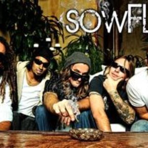 sowFLo 的头像