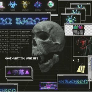 (Not) What you want