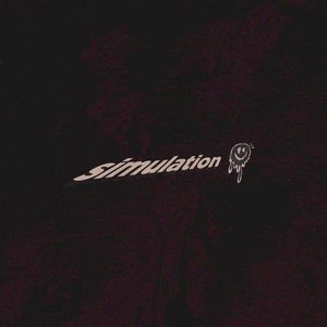 Simulation