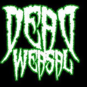 Avatar for Dead Weasal