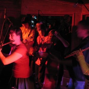 Avatar for Gävleborgs Ungdoms Folkband