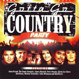 Gotta Go Country, Vol 3: Party