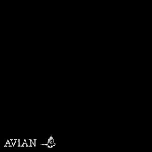AVN#001 - Single