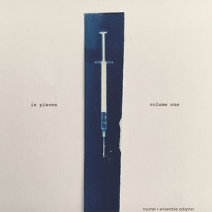 In Pieces - Volume One