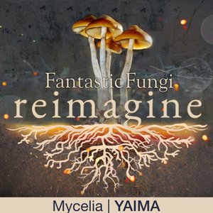 Mycelia (Fantastic Fungi: Reimagine)