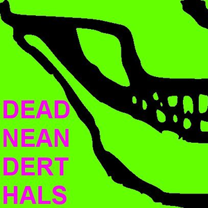 Idiot Runt cover