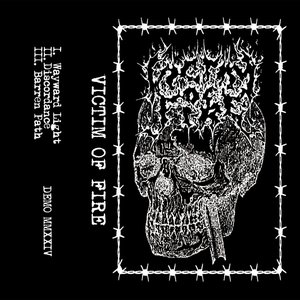 Demo MMXXIV