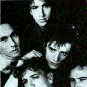 Einstürzende Neubauten 的头像