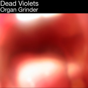 Organ Grinder