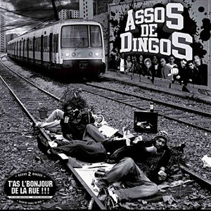 Assos de Dingos 的头像