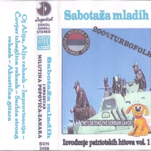 Izvođenje patriotskih hitova vol. 1