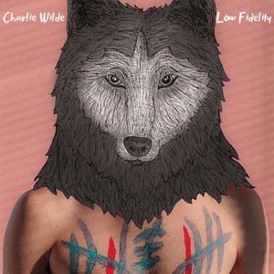 Low Fidelity