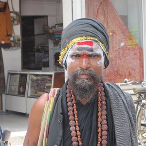 Bhaiya Baba & The Bandars 的头像