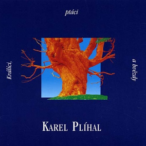 Králíci, ptáci a hvězdy cover