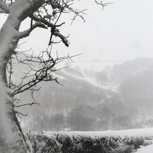 Snow on My Windowsill