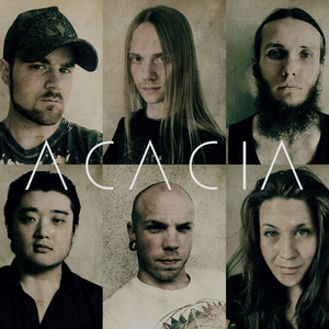 Acacia photo provided by Last.fm