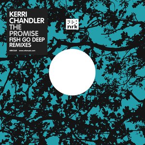 The Promise (Fish Go Deep Remixes)