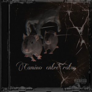 Camino Entre Ratas