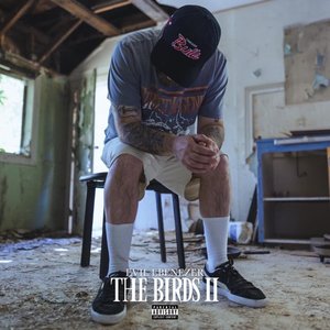 The Birds II
