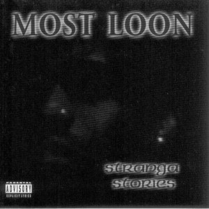 Most Loon 的头像