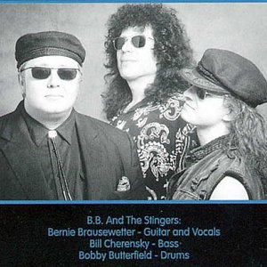 B.B. & The Stingers 的头像