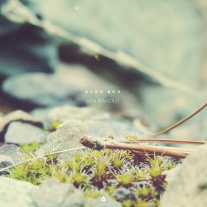 Echo Box 的头像