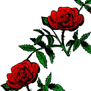 Rosehall 的头像